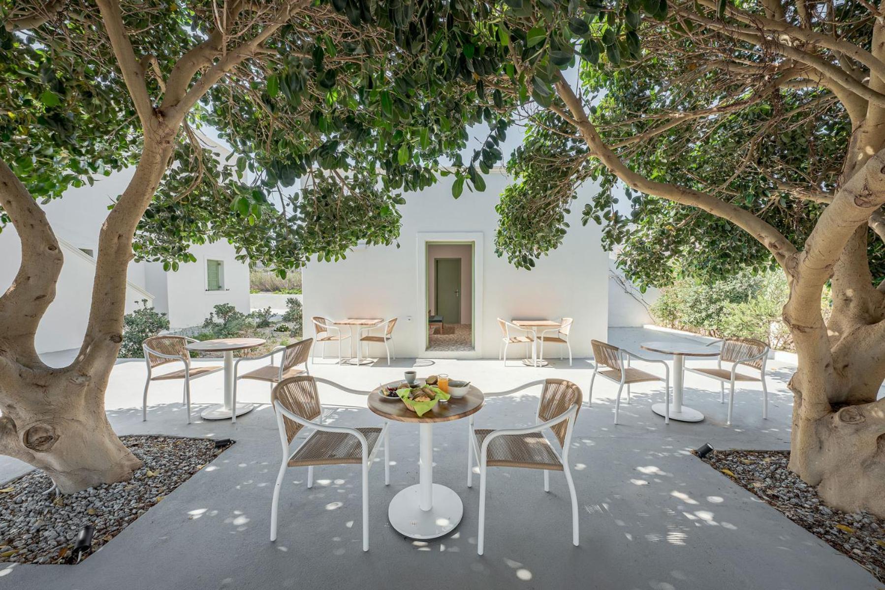 Aparthotel Ambeli Perivolos (Santorini)