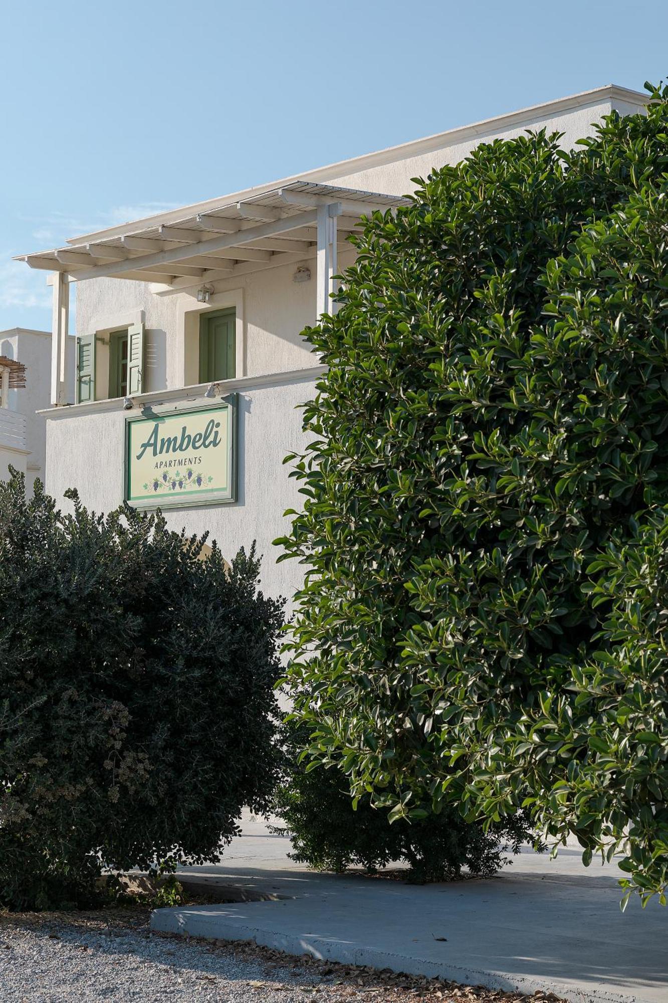 Ambeli Apartahotel Playa de Perivolos
